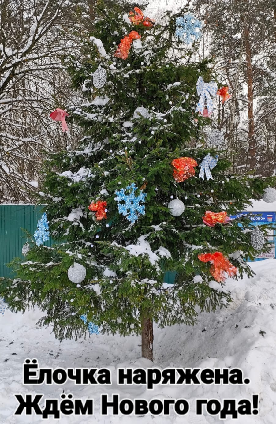 Ёлочка наряжена. Ждем Нового года!