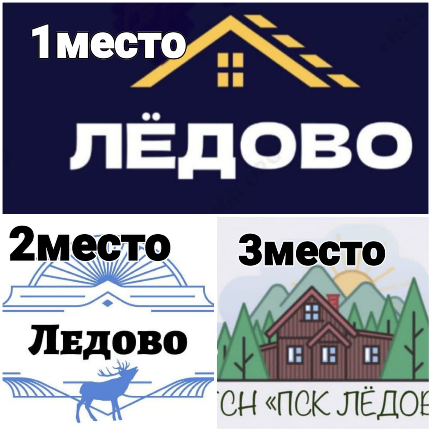 Итоги конкурса на лучший логотип ТСН»ПСК Ледово».
